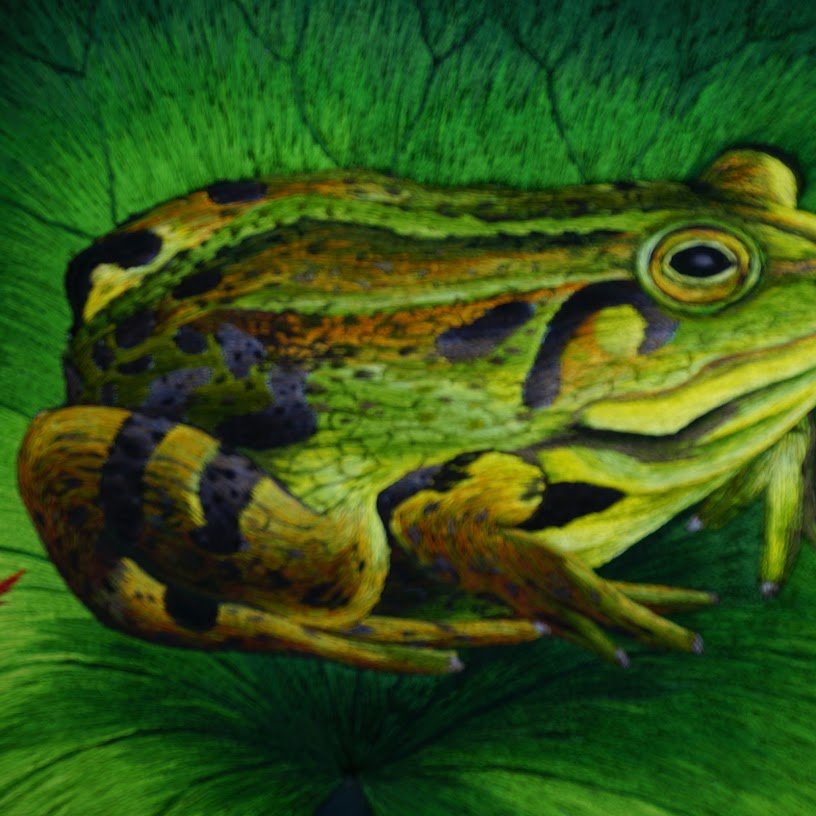 Tranh thêu tay Chú Ếch Con – Sắc Màu Nghệ Thuật Độc Đáo - Ảnh 2